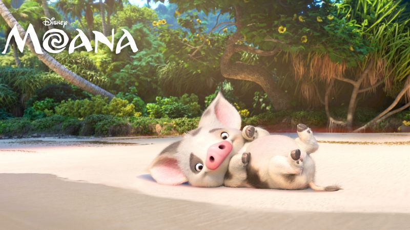 Moana, pugo, piggy, best animation movies of 2016 (horizontal)
