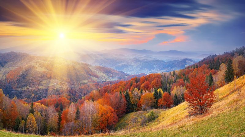 autumn, 4k, HD wallpaper, 8k, trees, dawn, mount, coloring (horizontal)