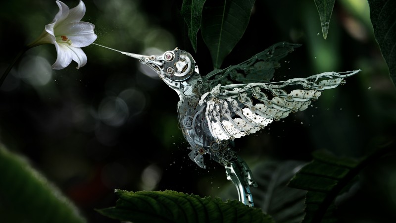 Hummingbird, Сolibri, steampunk, flower, leaves, green, drops, flying, bird, nectar, garden, nature, mechanical (horizontal)