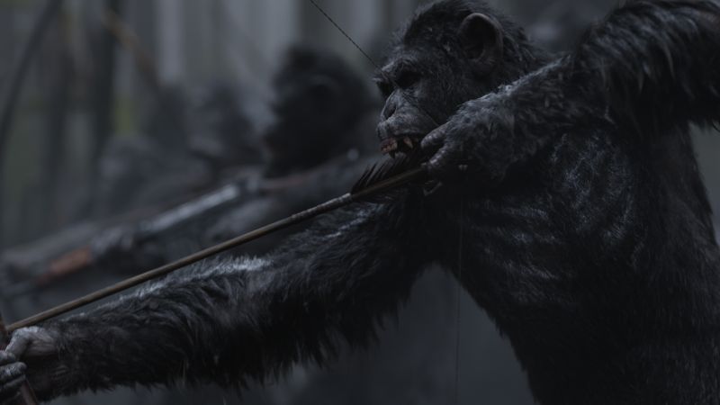 War for the Planet of the Apes, ape, 4k (horizontal)