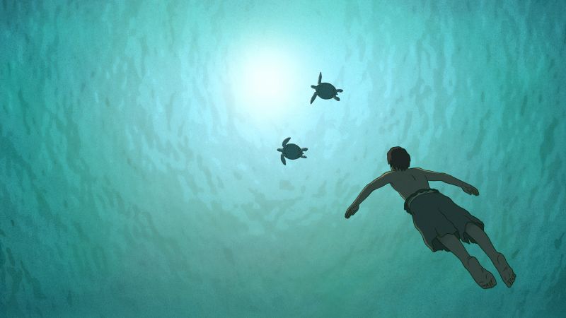 The Red Turtle, La tortue rouge, best animation movies (horizontal)