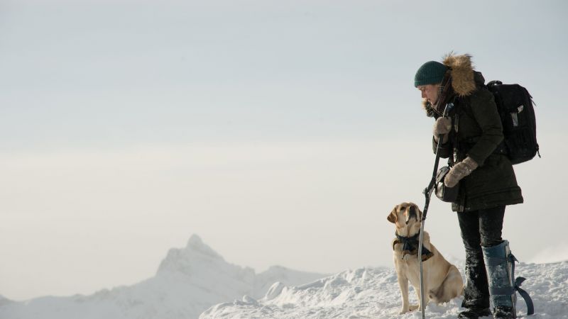 The Mountain Between Us, Kate Winslet, 5k (horizontal)