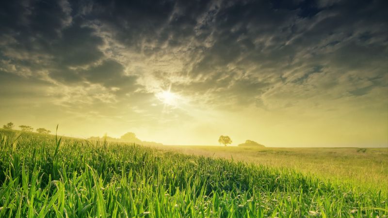 field, nature, sky, grass, 4k (horizontal)