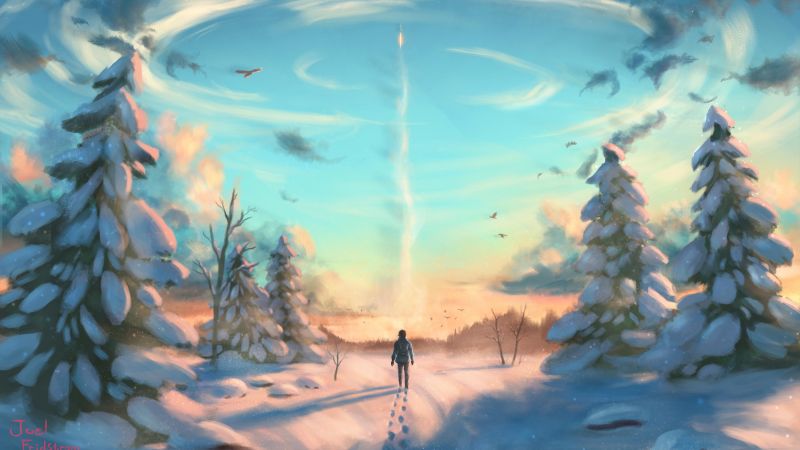 man, winter, tree, HD (horizontal)