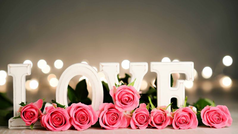 love image, rose, flower, 4k (horizontal)