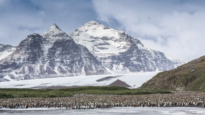 Antarctica, mountains, penguins, 5k (horizontal)