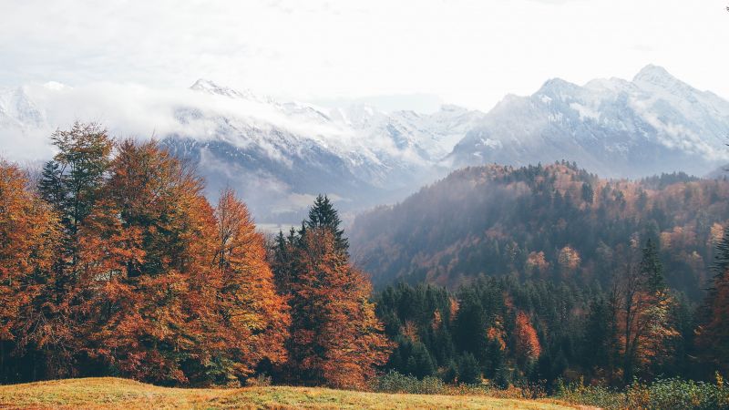 Oberstdorf, Germany, mountains, autumn, forest, 4k (horizontal)