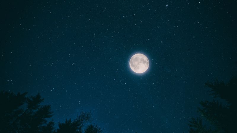 night, sky, moon, stars, forest, 4k (horizontal)
