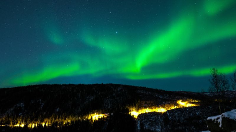 northern lights, sky, winter, mountains, forest, 5k (horizontal)