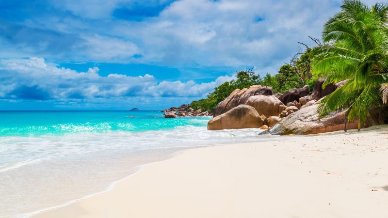 Maldives, Seychelles, beach, ocean, coast, palm, sky, 5k (horizontal)
