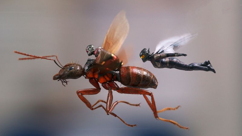 Ant-Man and the Wasp, 4k (horizontal)