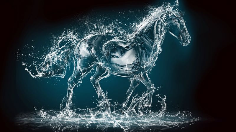 Horse, water, transparent, 10K (horizontal)