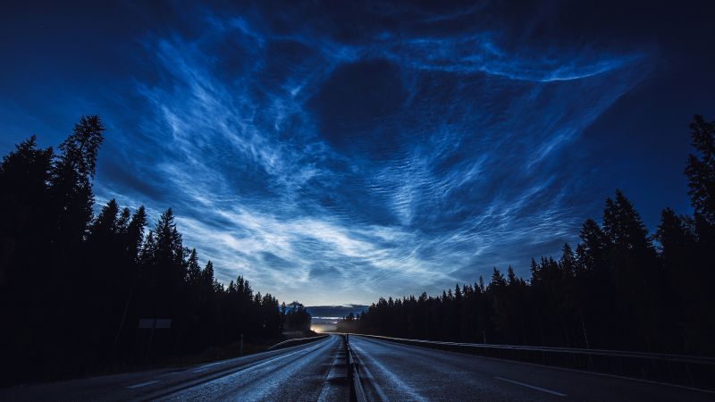 road, night, forest, sky, 4K (horizontal)