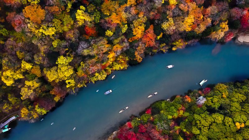 river, forest, colors, autumn, 5K (horizontal)
