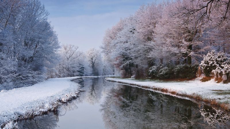river, winter, forest, snow, trees, 5K (horizontal)