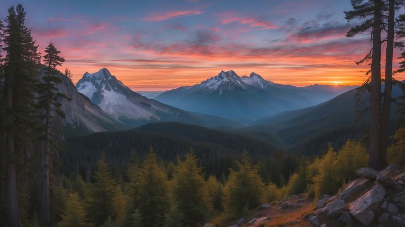 mountains, forest, sunset, OSX, 2024 (horizontal)