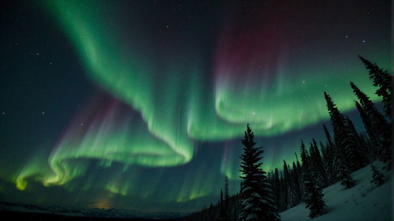 northern lights, winter (horizontal)