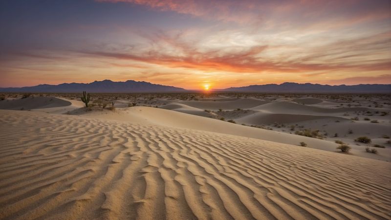desert, sunset (horizontal)