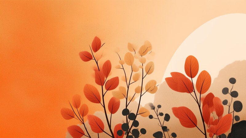 seasonal colors wallpaper, leaf peeping, seasonal change, background for desktop wallpaper (horizontal)