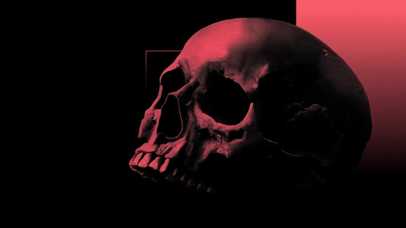 skull images wallpaper, spooky decor, skull art, background for desktop wallpaper (horizontal)