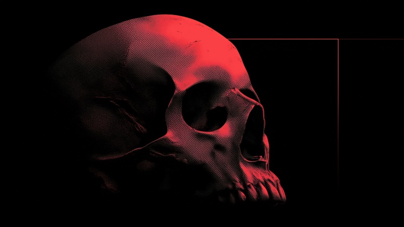 skulls wallpaper, gothic art, skull art, background for desktop wallpaper (horizontal)