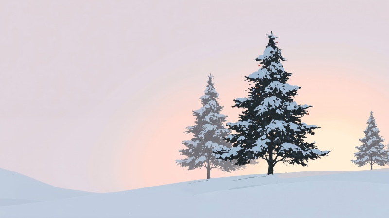 evergreen forest wallpaper, pine trees, snowy pines, background for desktop wallpaper (horizontal)