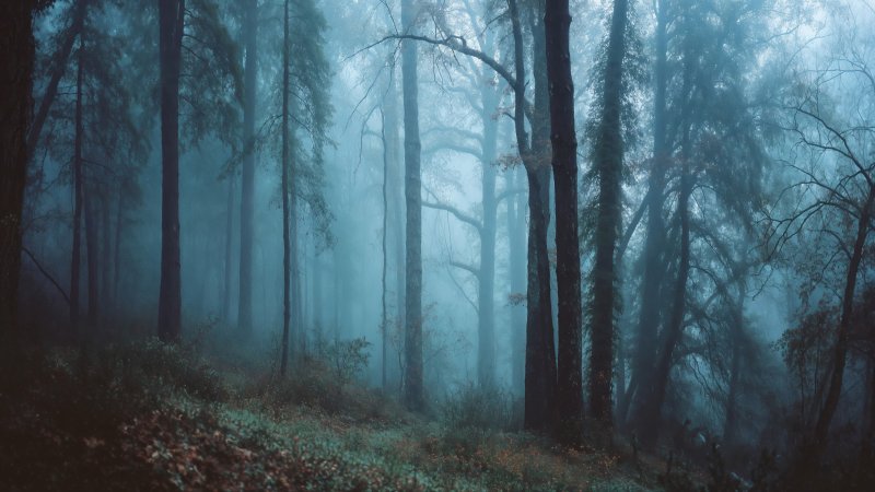 nature exploration wallpaper, trail, scenic route, background for desktop wallpaper (horizontal)