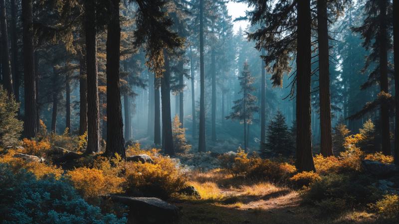 peaceful escape wallpaper, outdoor exploration, earth tones, background for desktop wallpaper (horizontal)