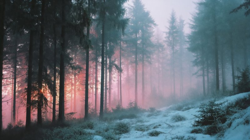 gray sky wallpaper, cold winter, chill, background for desktop wallpaper (horizontal)