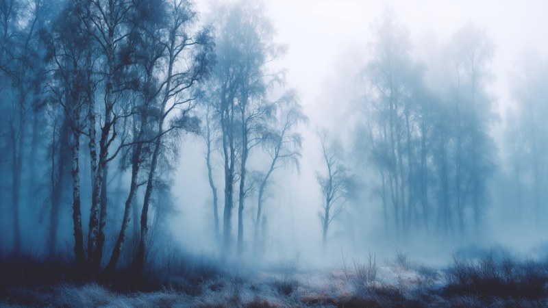peaceful escape wallpaper, foggy forest, soft light, background for desktop wallpaper (horizontal)