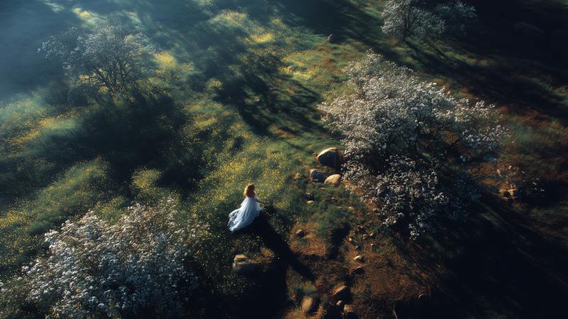 spring landscape wallpaper, green growth, woman in nature, background for desktop wallpaper (horizontal)