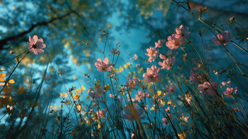 floral landscapes wallpaper, wildflower meadow, flower close-up, background for desktop wallpaper (horizontal)