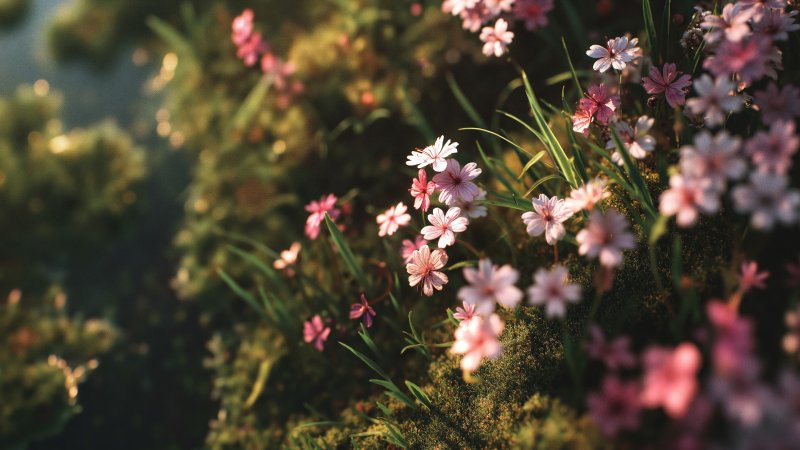 colorful spring wallpaper, wildflowers, warm sunlight, background for desktop wallpaper (horizontal)