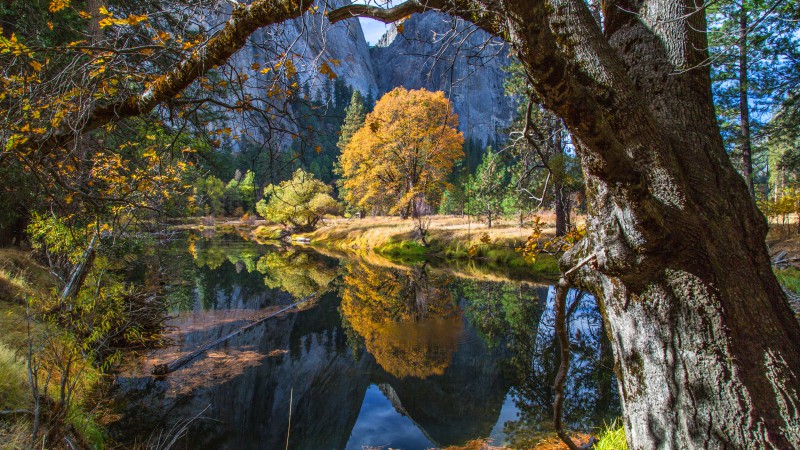 Yosemite, 5k, 4k wallpaper, 8k, forest, OSX, apple, mountains (horizontal)