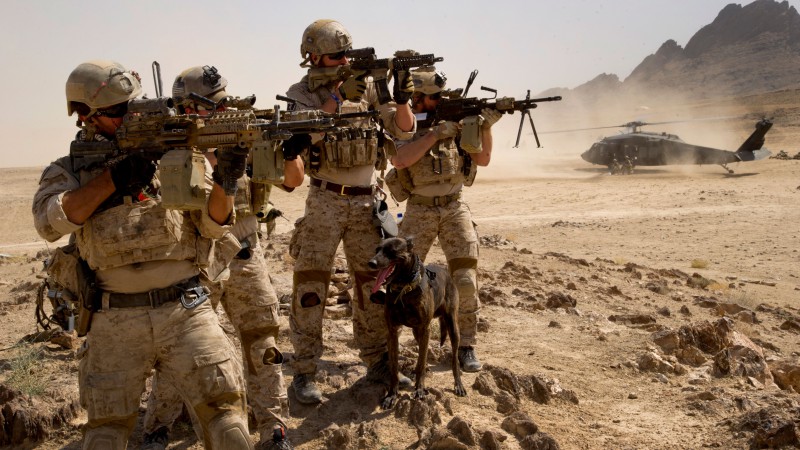 U.S. Army, M16 rifle, Mk 14, soldier, dog, black hawk, army, RSTA, camo, ammunition, field (horizontal)