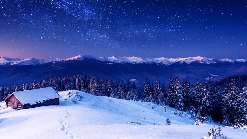 Mountains, 5k, 4k wallpaper, 8k, night, stars, trees, sky, snow (horizontal)