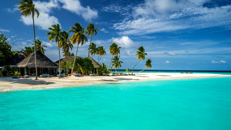 Maldives, 5k, 4k wallpaper, 8k, Indian Ocean, Best Beaches in the World palms, shore, sky (horizontal)