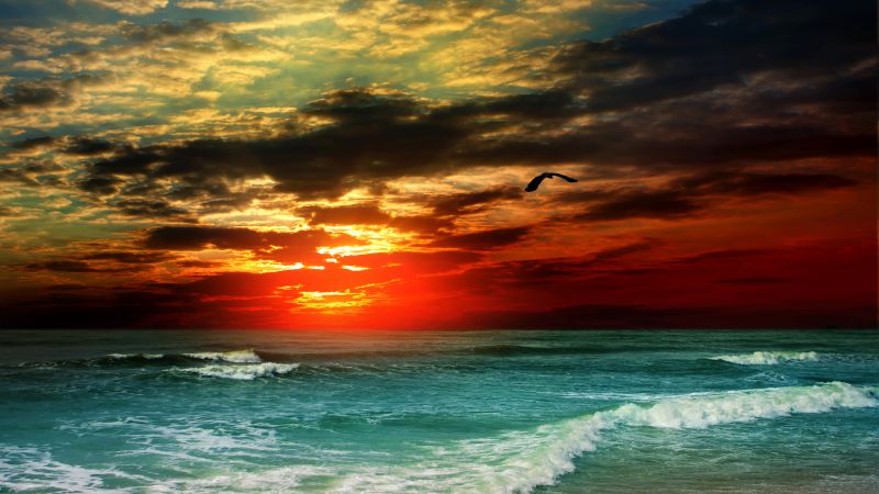 Sea, 5k, 4k wallpaper, 8k, ocean, sunset, shore, clouds (horizontal)