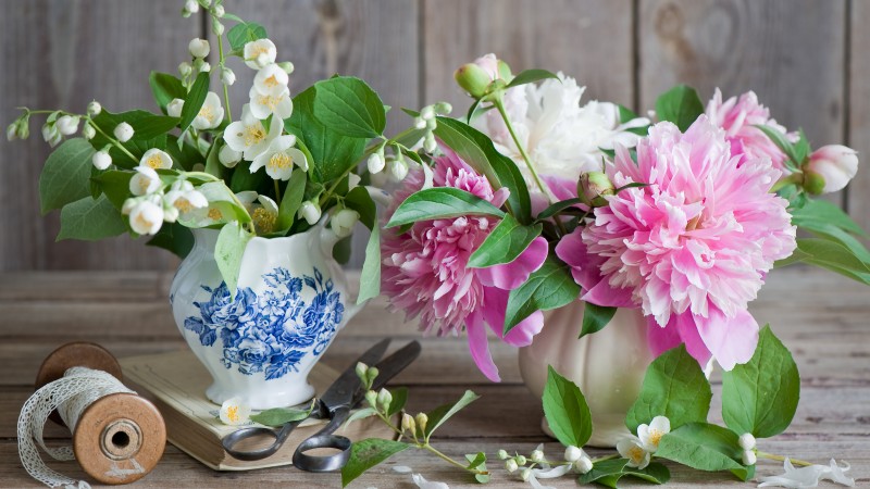 peonies, 5k, 4k wallpaper, jasmine, scissors, vase, ribbon (horizontal)