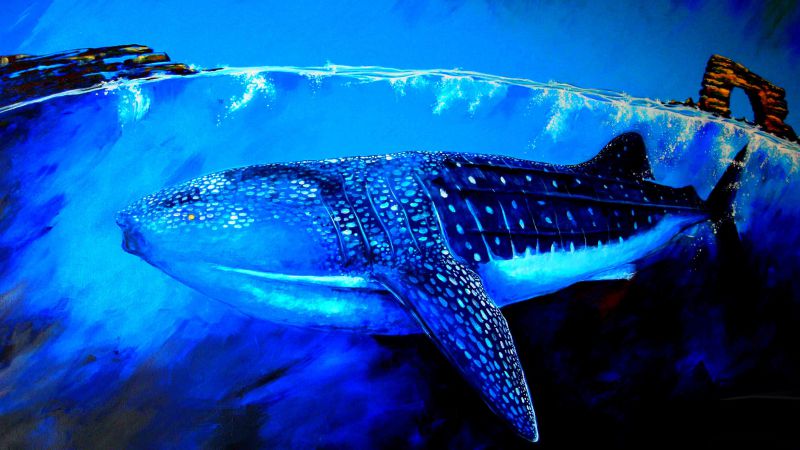 Whale Shark, underwater, art (horizontal)