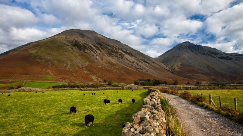 Lake District, 5k, 4k wallpaper, National Park, Cumbria, England, hills, meadows, goats (horizontal)