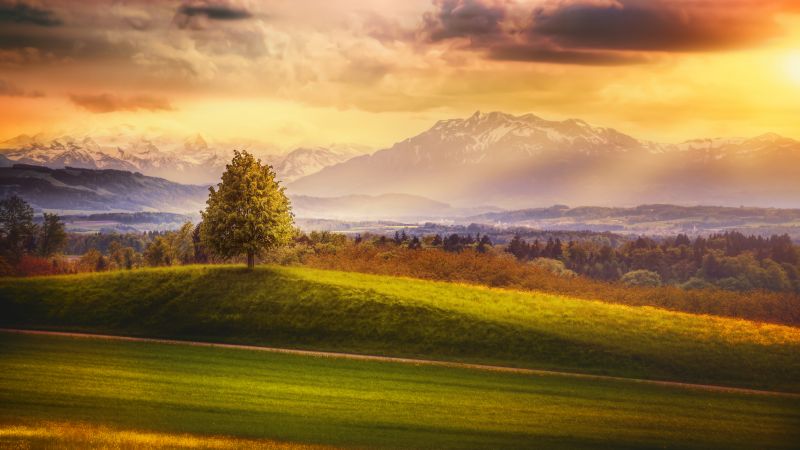 Switzerland, 4k, 5k wallpaper, 8k, Alps, mountains, meadows, trees (horizontal)