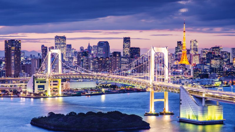 Tokyo Bay, Japan, bridge, night, travel, tourism (horizontal)