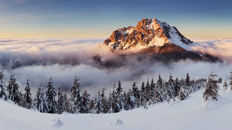 Slovakia, 4k, 5k wallpaper, 8k, mountains, fog, pines, snow (horizontal)