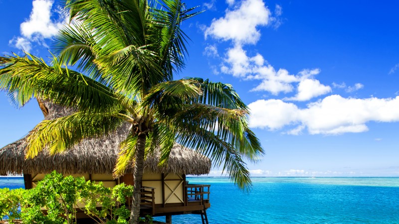Maldives, 4k, HD wallpaper, holidays, vacation, travel, hotel, island, ocean, bungalow, beach, sky (horizontal)