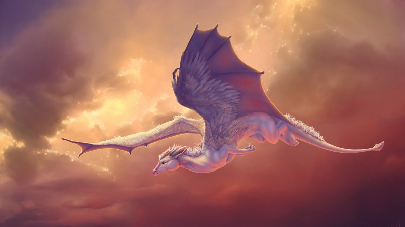 Dragon, 4k, HD wallpaper, wings, sky, pegasus, creation, clouds, art (horizontal)
