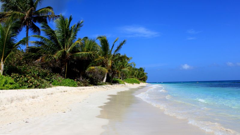 Flamenco Beach, Culebra, Puerto Rico, palms, Best beaches of 2016, Travellers Choice Awards 2016 (horizontal)