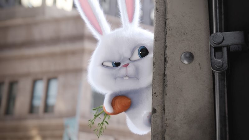 The Secret Life of Pets, rabbit, Best Animation Movies of 2016, cartoon (horizontal)