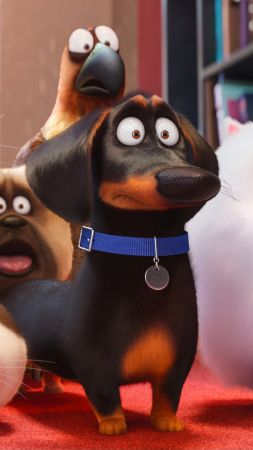 The Secret Life of Pets, dog, Best Animation Movies of 2016, cartoon (vertical)