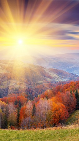 autumn, 4k, HD wallpaper, 8k, trees, dawn, mount, coloring (vertical)